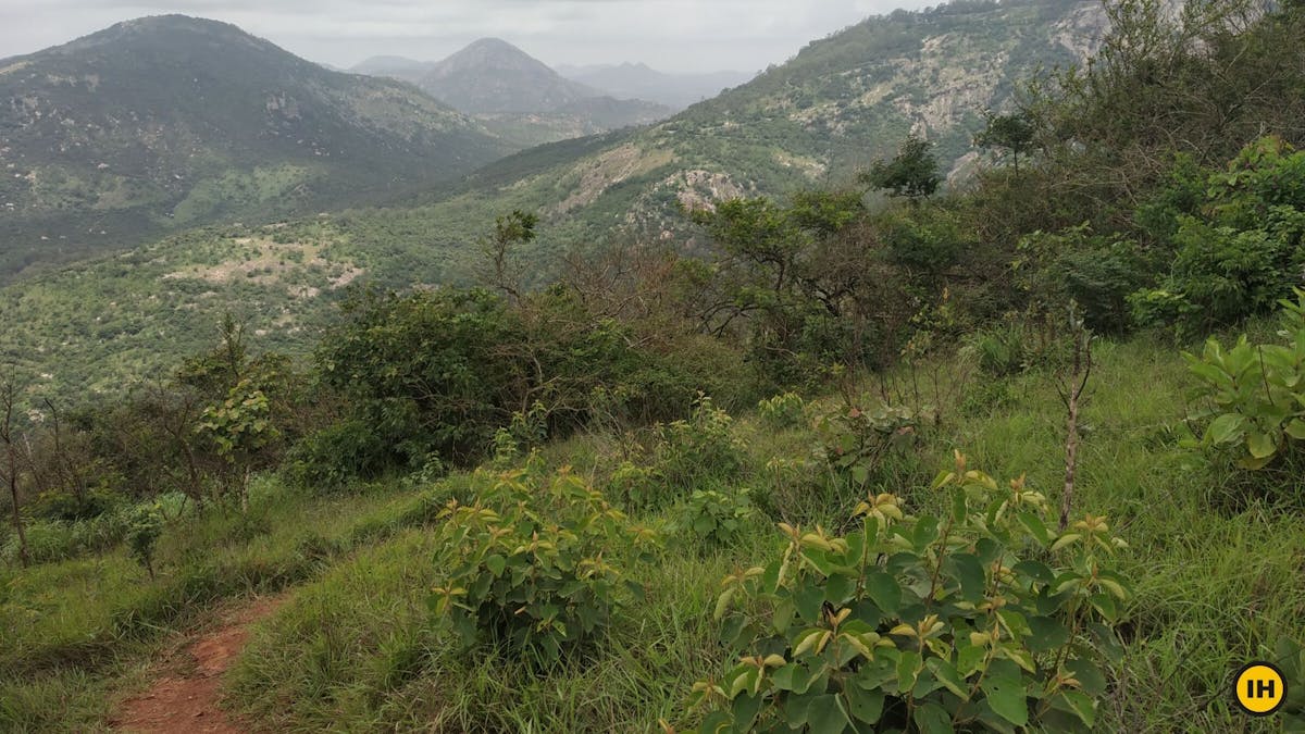 Nandi One, Brahmagiri trek - U-Turn on the descent of Nandi One Trek - Indiahikes - Saurabh Sawant