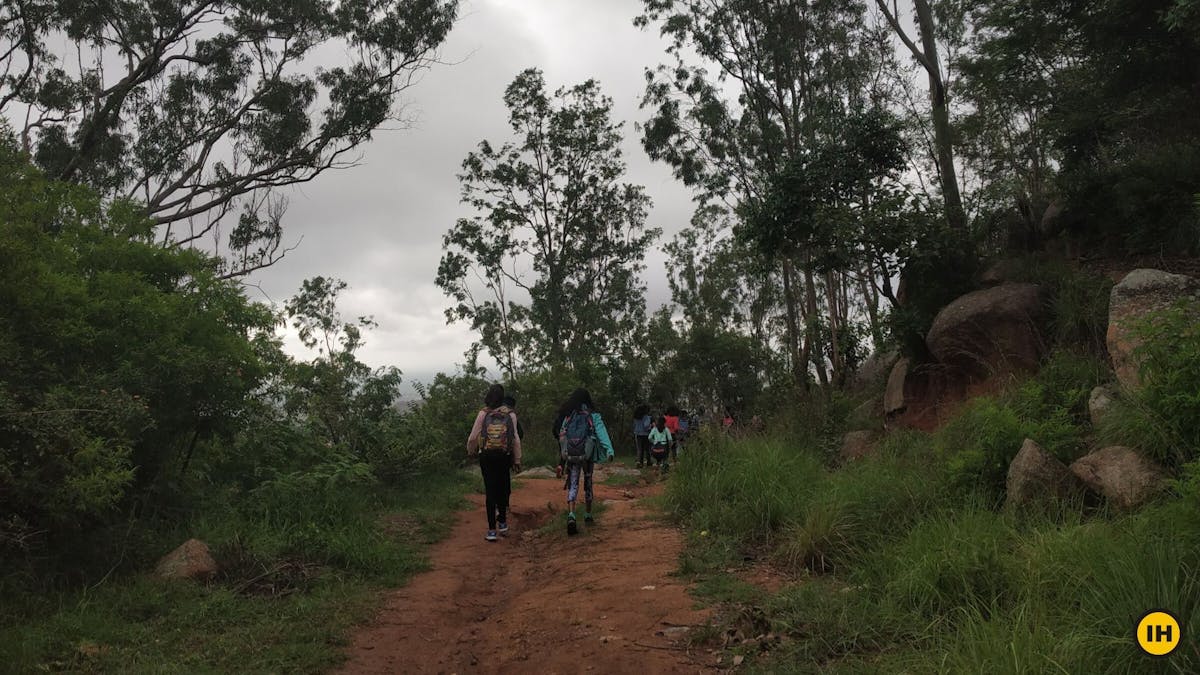 Nandi One, Brahmagiri trek - The Initial Trail on the Nandi One trek - Indiahikes - Saurabh Sawant