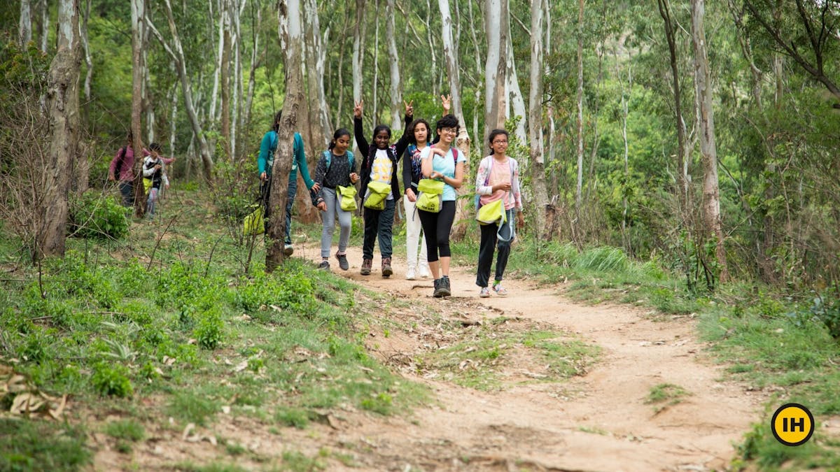 Nandi One, Brahmagiri - A walk amidst the Eucalyptus grove - Indiahikes - Harikrishnan