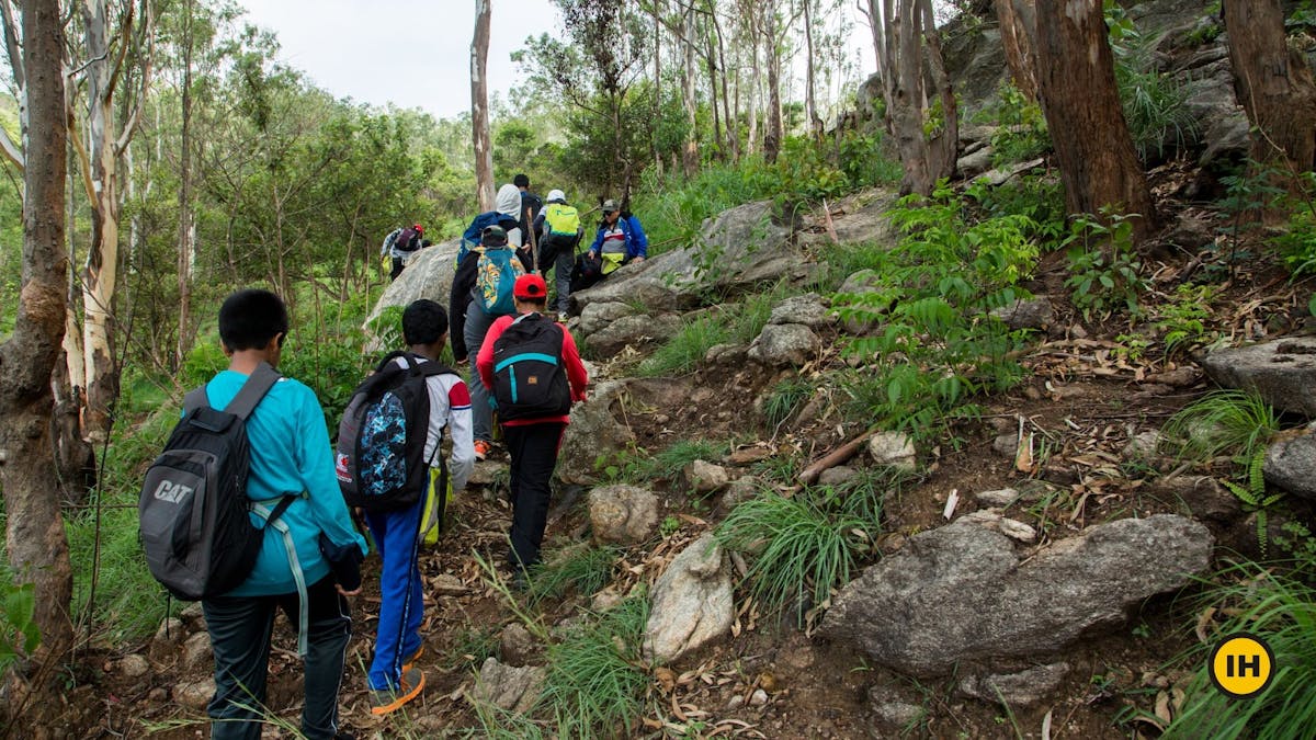 Nandi One, Brahmagiri - Indiahikes - Trail from the saddle to the rest point - Indiahikes - Harikrishnan