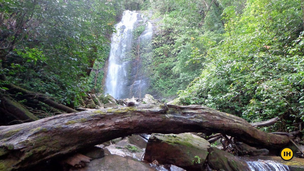 Hidlumane Falls-Kodachadri Trek-Indiahikes