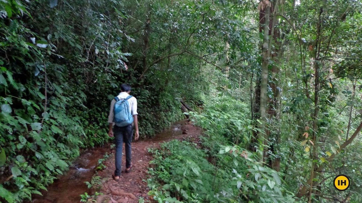 Forest section-Kodachadri Trek-Indiahikes-Suhas Saya