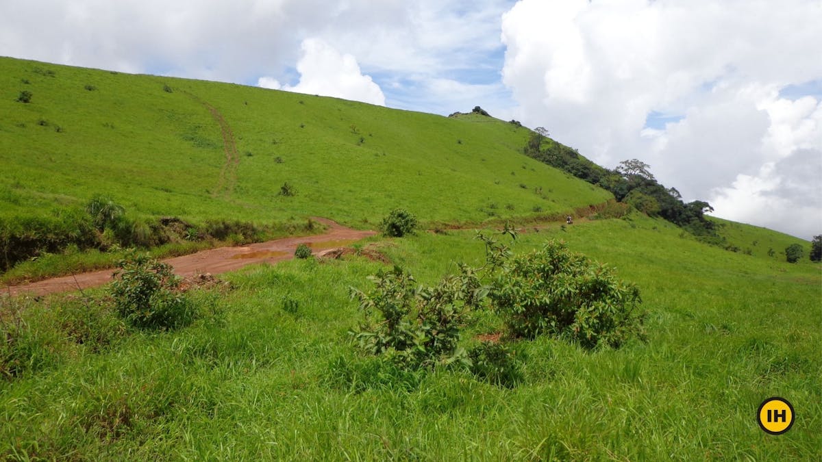 Jeep track-Kodachadri Trek-Indiahikes-Suhas Saya