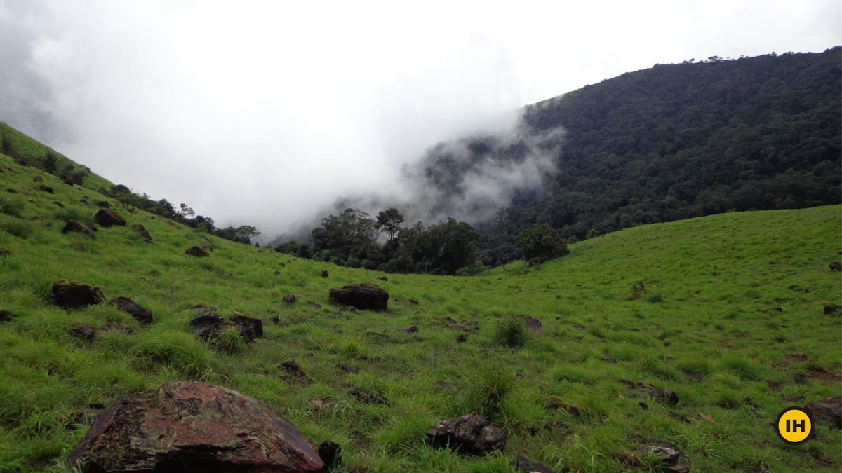 Valley views-Kodachadri Trek-Indiahikes-Suhas Saya