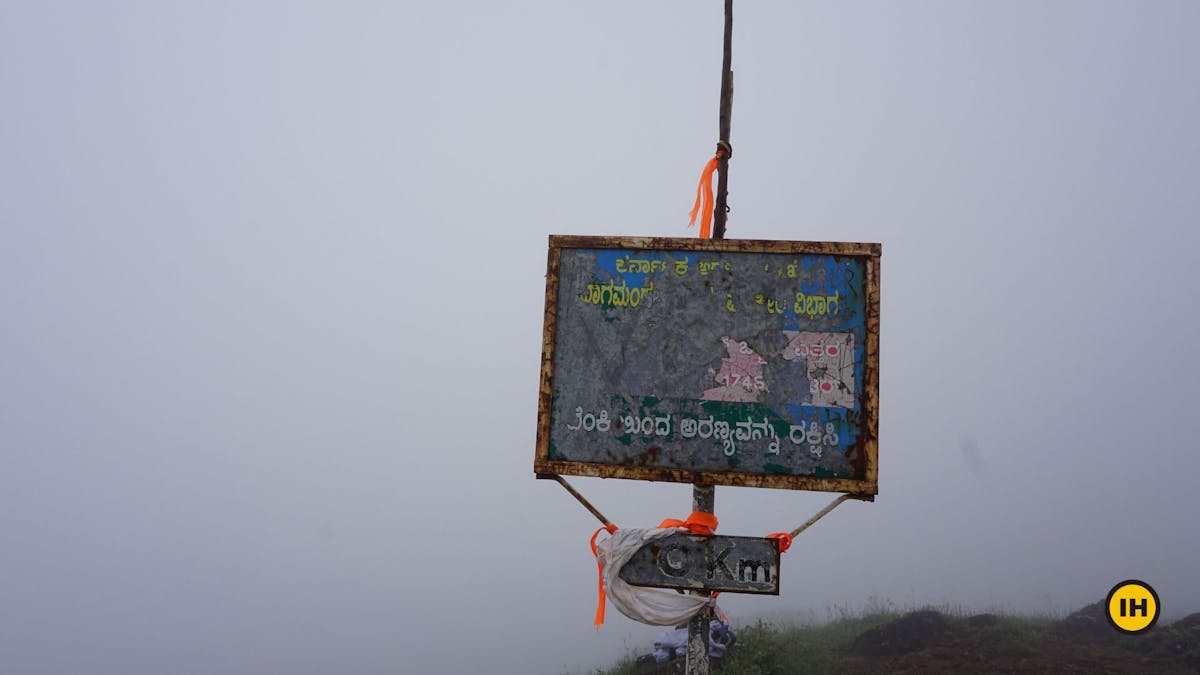 Peak, Tadiandamol trek, Treks in Coorg, Kodagu district, western ghats, shola forests, Indiahikes
