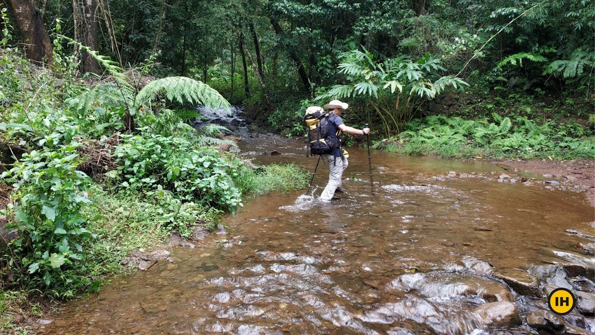 Stream crossing, Tadiandamol trek, Treks in Coorg, Kodagu district, western ghats, shola forests, Indiahikes