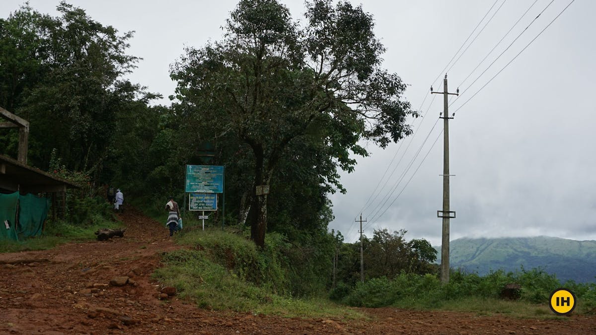 Trail to Tadiandamol, Tadiandamol trek, Treks in Coorg, Kodagu district, western ghats, shola forests, Indiahikes