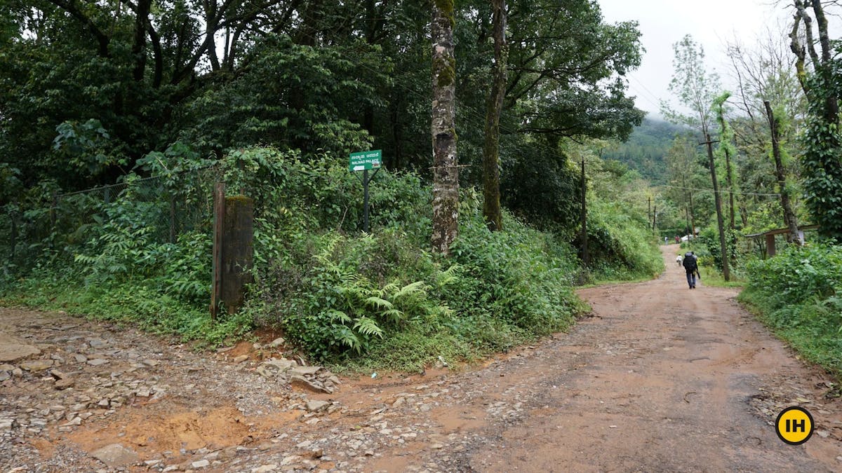 Nalkand Place road, Tadiandamol trek, Treks in Coorg, Kodagu district, western ghats, shola forests, Indiahikes