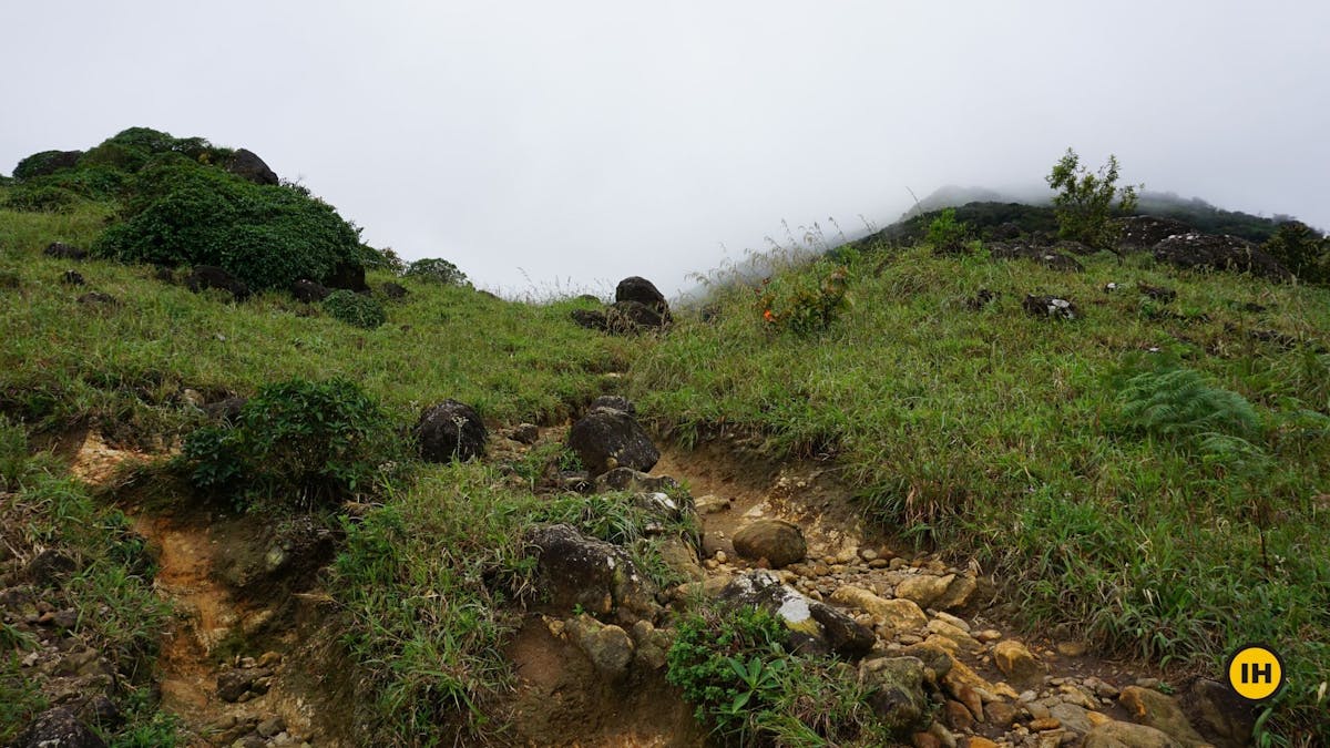 Forked path, take the right, Tadiandamol trek, Treks in Coorg, Kodagu district, western ghats, shola forests, Indiahikes