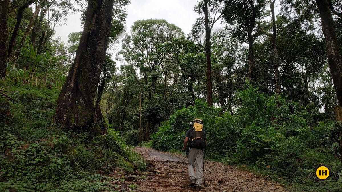 broken tar road, Tadiandamol trek, Treks in Coorg, Kodagu district, western ghats, shola forests, Indiahikes