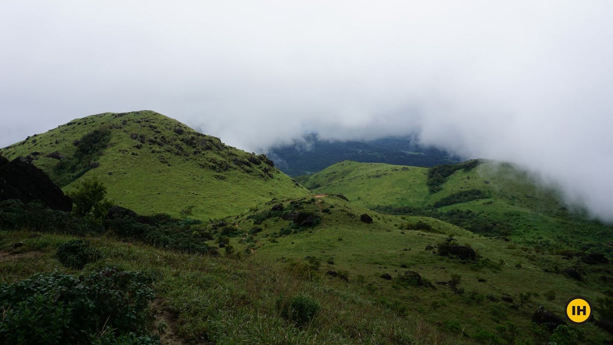 View, Tadiandamol trek, Treks in Coorg, Kodagu district, western ghats, shola forests, Indiahikes