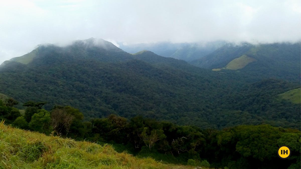 View from the peak, Tadiandamol trek, Treks in Coorg, Kodagu district, western ghats, shola forests, Indiahikes