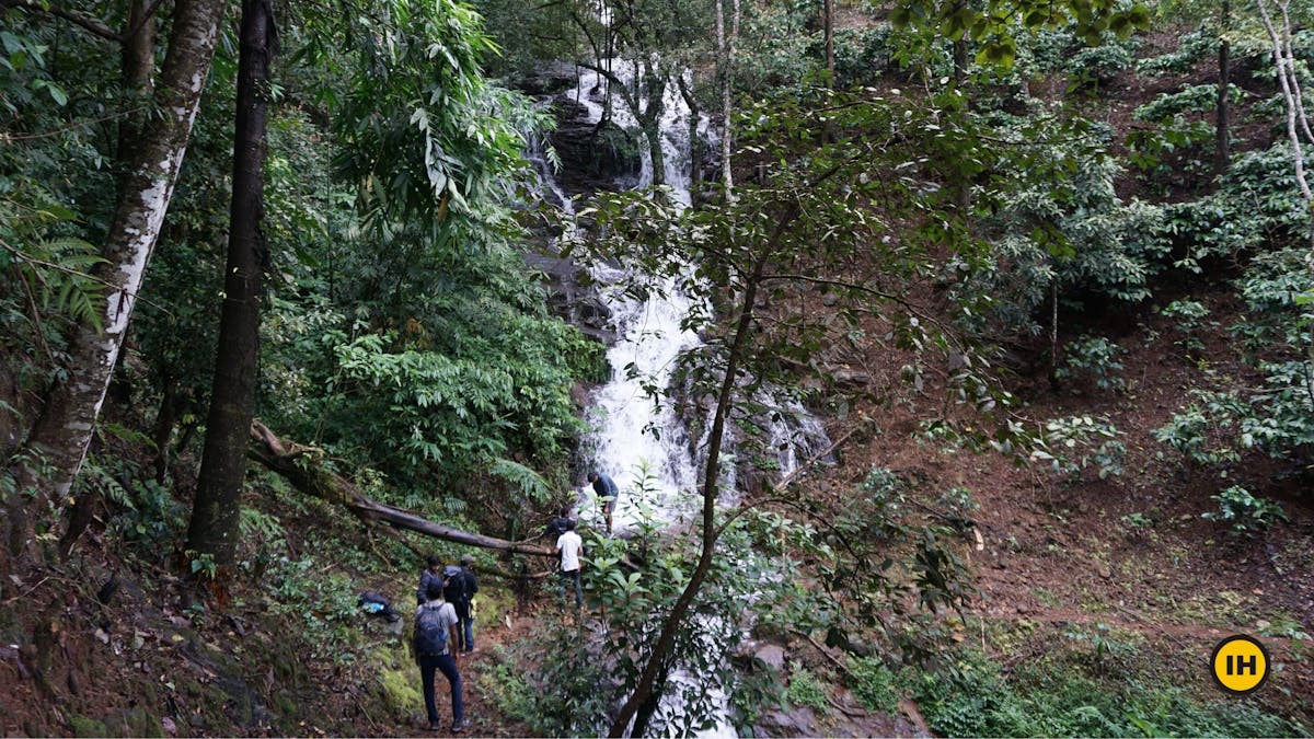 Waterfall, Tadiandamol trek, Treks in Coorg, Kodagu district, western ghats, shola forests, Indiahikes