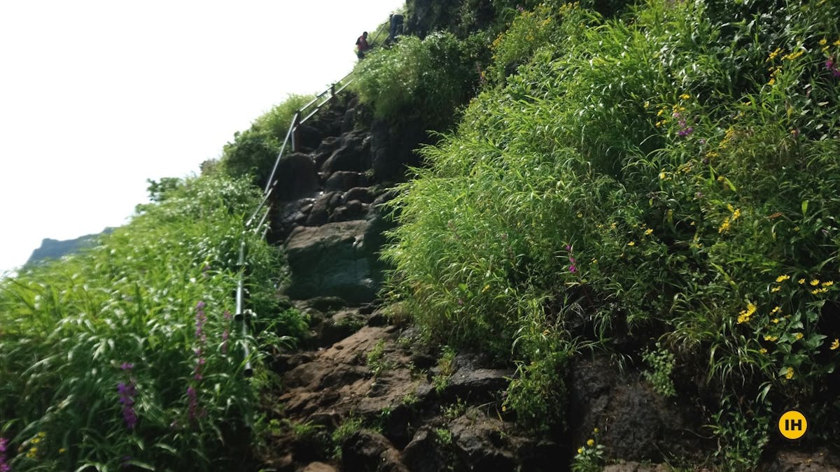 Rock-cut steps, Torna Fort trek, treks in Mahrashtra, Sahyadri treks, treks near Pune, Indiahikes