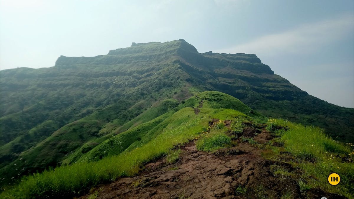 North face, Torna Fort trek, treks in Mahrashtra, Sahyadri treks, treks near Pune, Indiahikes