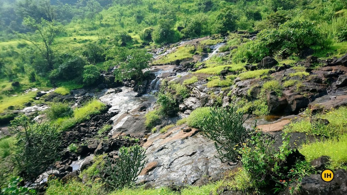 Sstream crossings, Torna Fort trek, treks in Mahrashtra, Sahyadri treks, treks near Pune, Indiahikes
