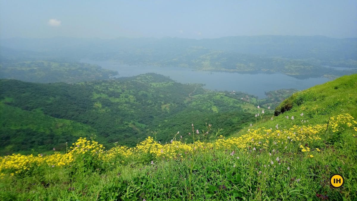 Gunjavane dam, Torna Fort trek, treks in Mahrashtra, Sahyadri treks, treks near Pune, Indiahikes