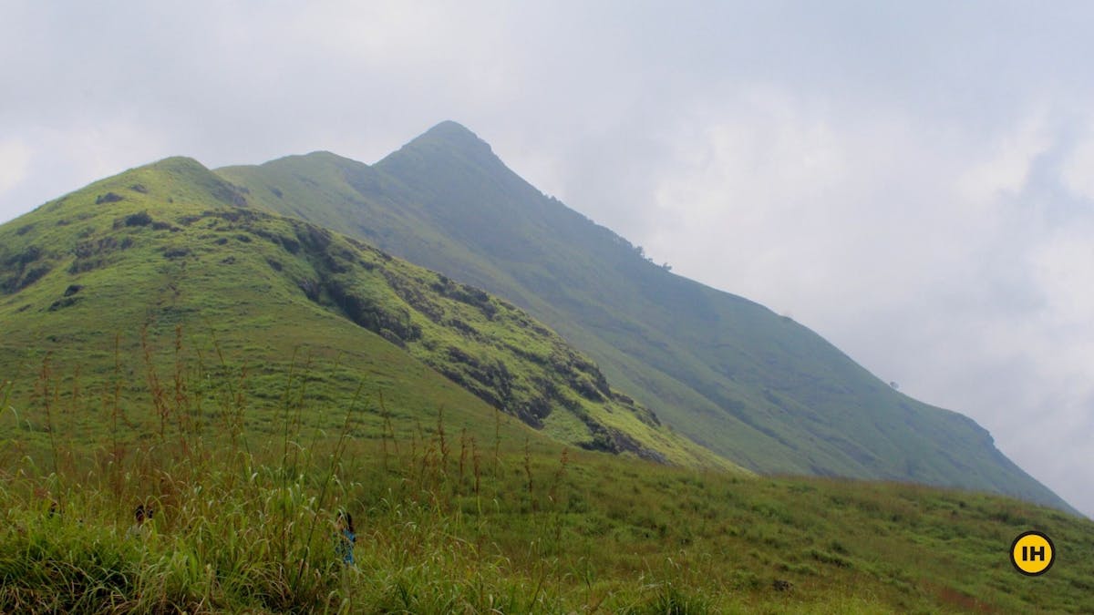 Chembra Peak-Chembra Peak-Indiahikes-Meghana Jambhe