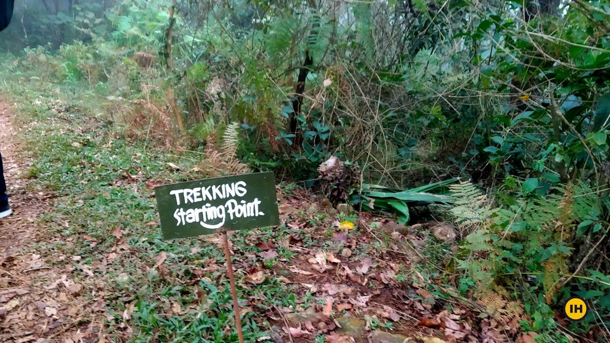 Chembra Peak-Starting Point-Indiahikes-Roshan Padhi