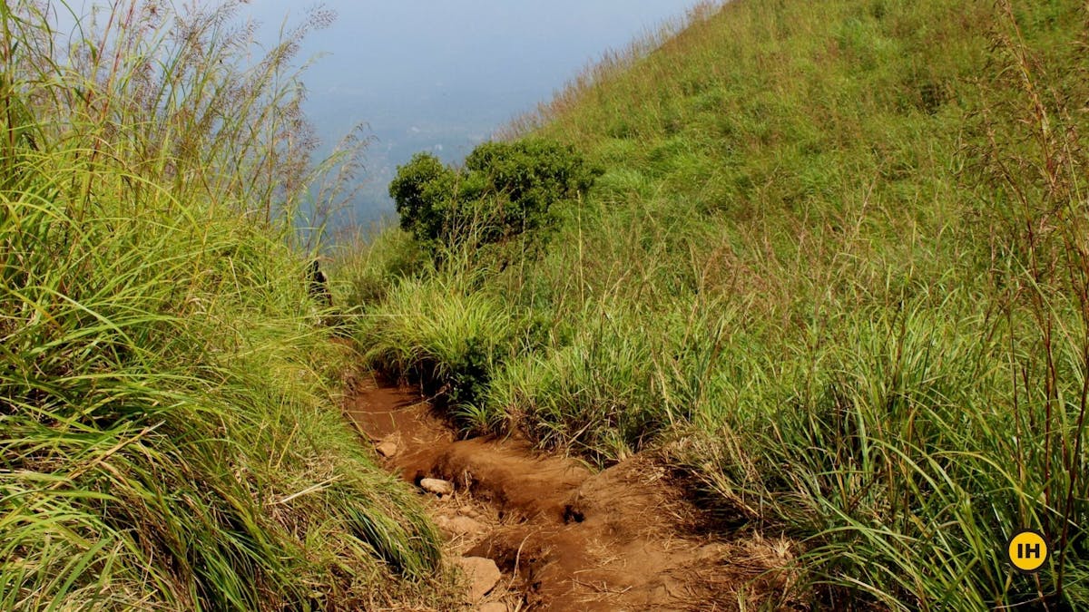 Chembra Peak-Trail-Indiahikes-Meghana Jambhe