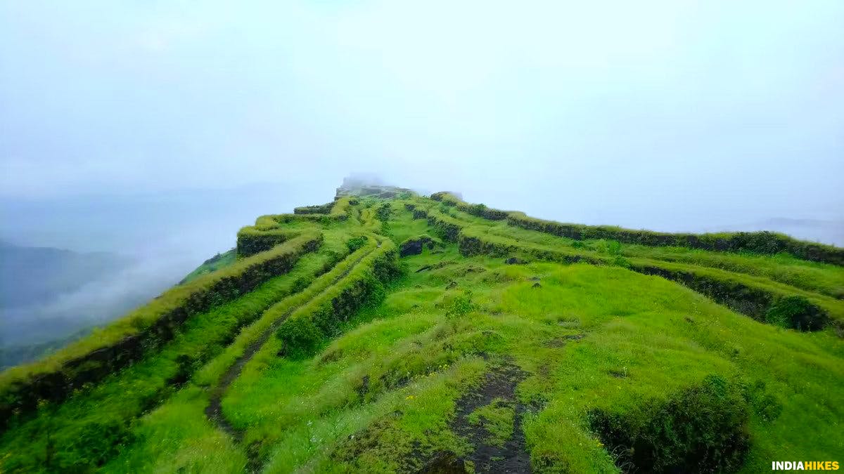 Sanjivani Machi, Rajgad Fort, Treks near Pune, Sahyadri treks, Trekking in Maharashtra, Indiahikes