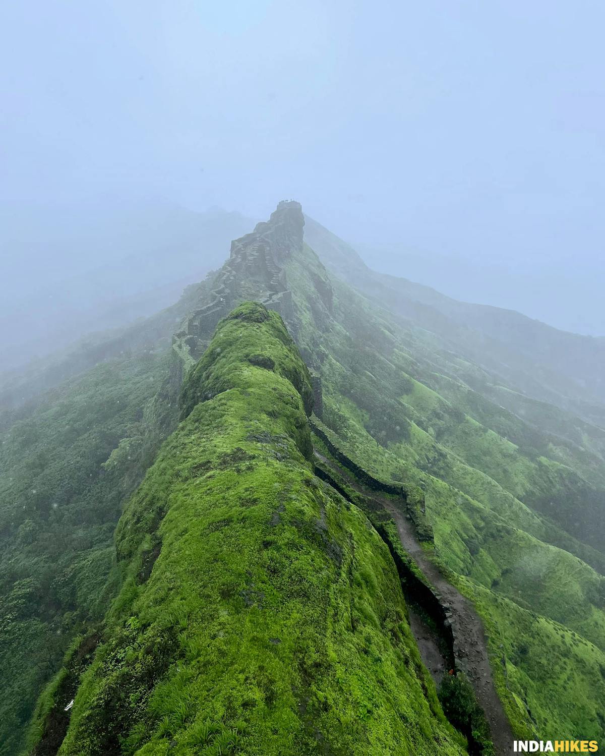 Suvela Machi, Rajgad Fort, Treks near Pune, Sahyadri treks, Trekking in Maharashtra, Indiahikes