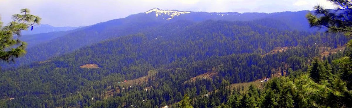 Kuppar Bugyal, indiahikes, Himachal treks, monsoon treks, weekend treks