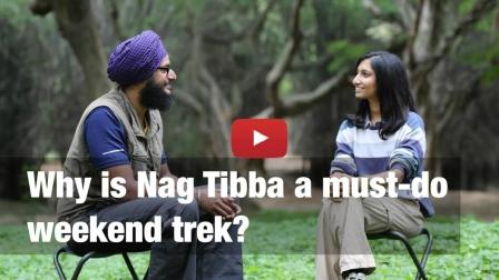 Why Is Nag Tibba A Must-do Weekend Trek Near Delhi