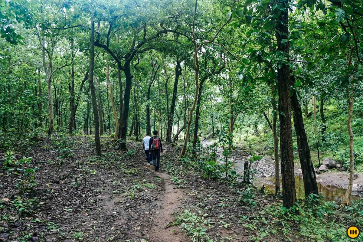 Rajmergarh Chhattisgarh Jungle Trek