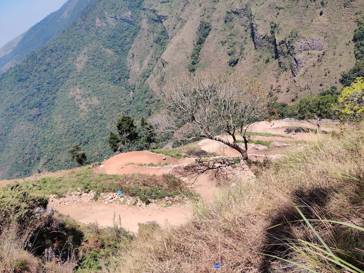 Hairpin bends - Thoothur Falls Trek - Indiahikes - Madhuri Ruperee