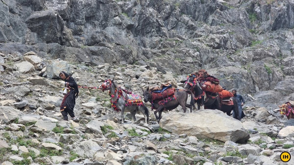 Harnag Pass Nafran valley - Indiahikes - Dhaval Jajal