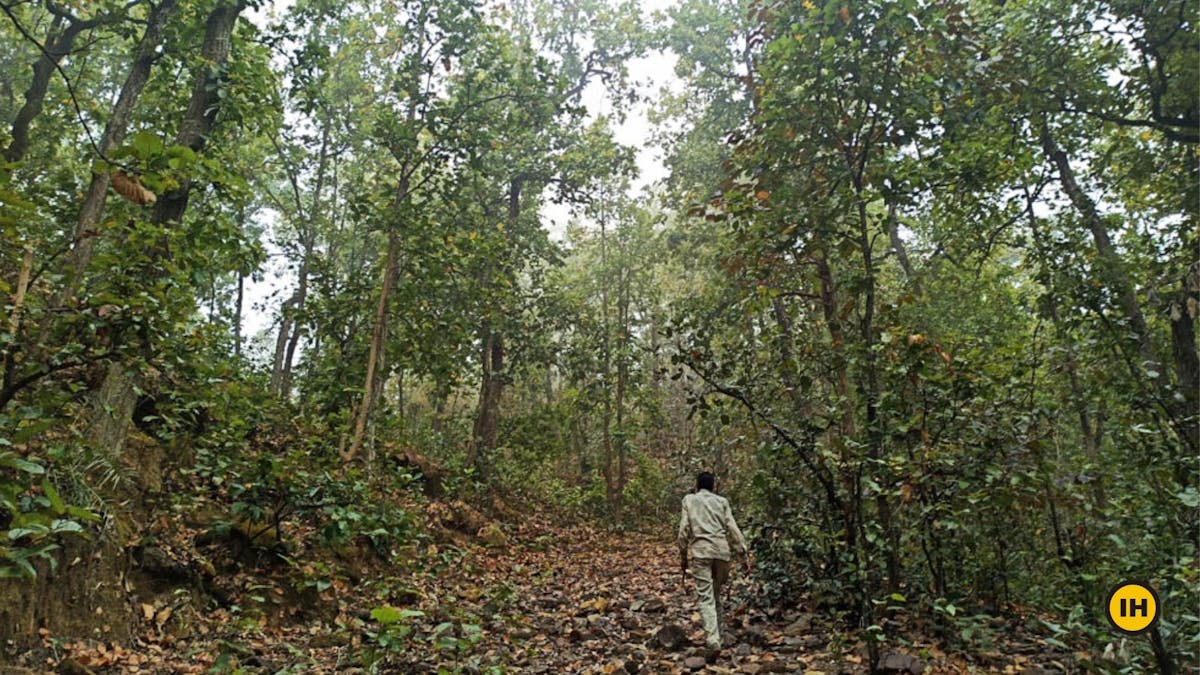 Sanjay-Dubri-Tiger-Reserve-Trek-Trail-entering-into-the-forest-Indiahikes-Saurabh-Sawant