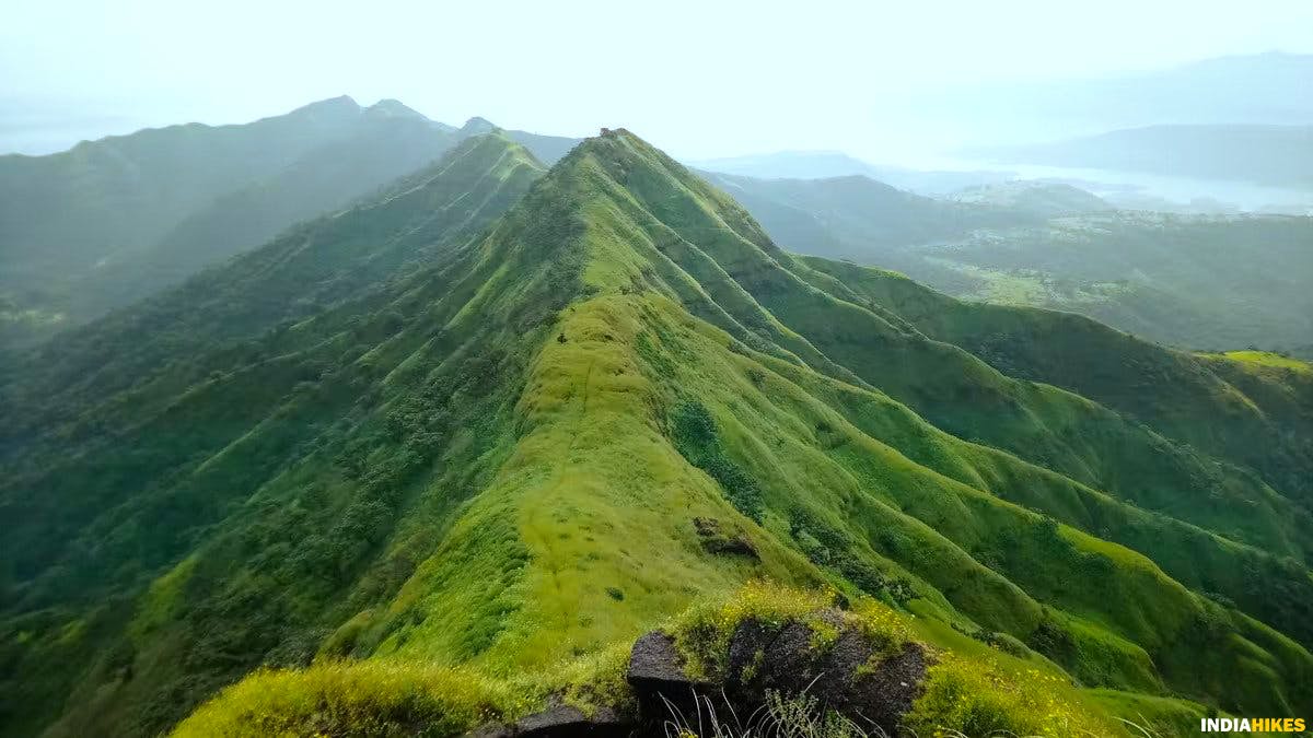 View from the end of Suvela Machi, Rajgad Fort, Treks near Pune, Sahyadri treks, Trekking in Maharashtra, Indiahikes