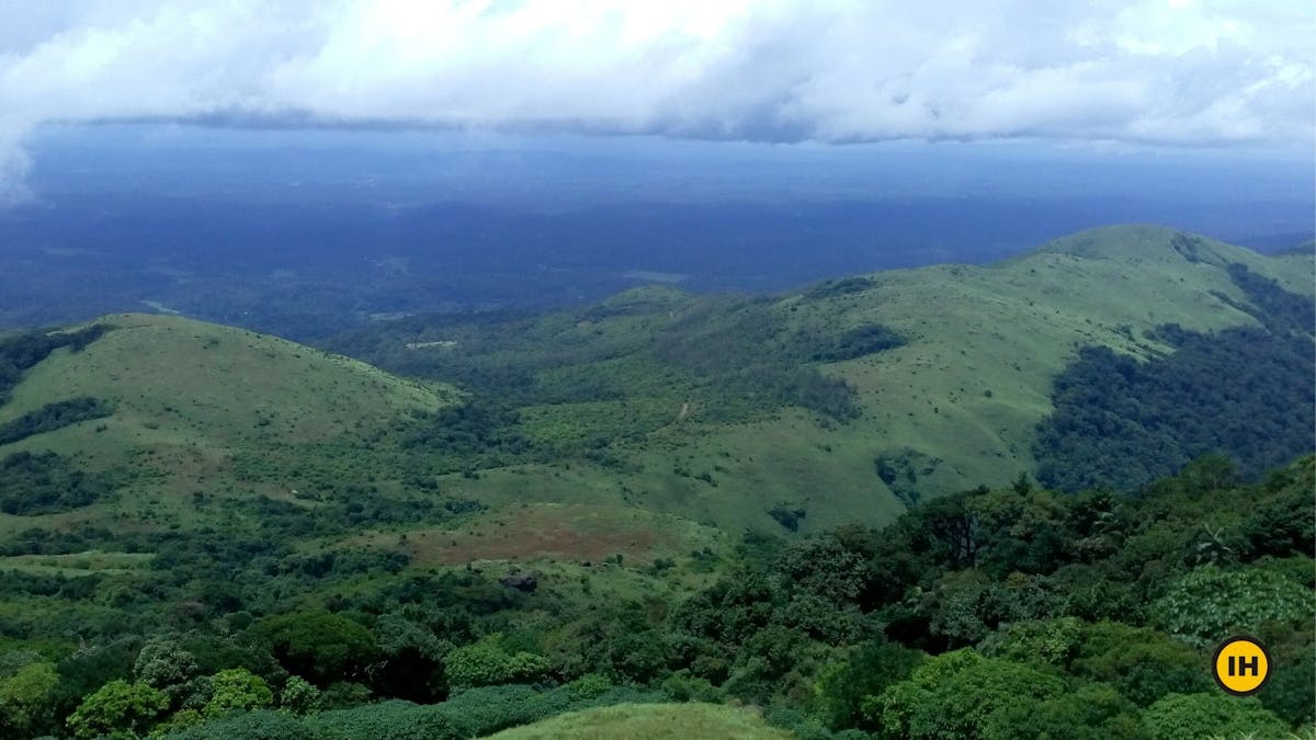 View of the green hills, Tadiandamol trek, Treks in Coorg, Kodagu district, western ghats, shola forests, Indiahikes