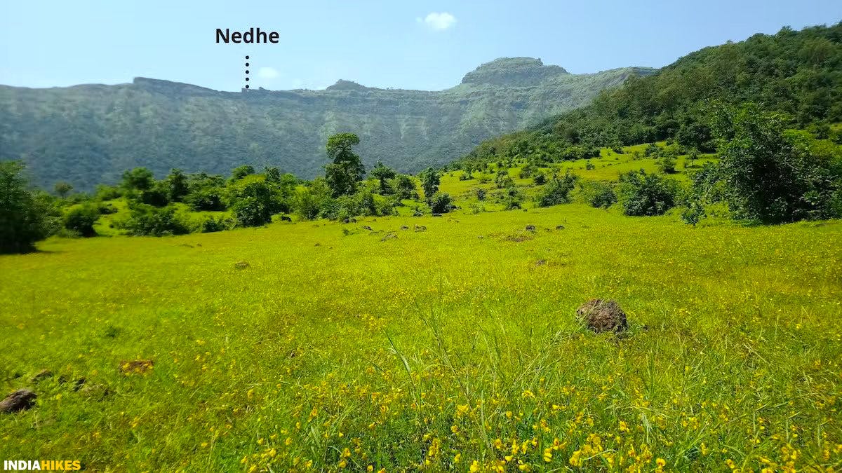View of Rajgad and Nedhe from Plateau, Rajgad Fort, Treks near Pune, Sahyadri treks, Trekking in Maharashtra, Indiahikes