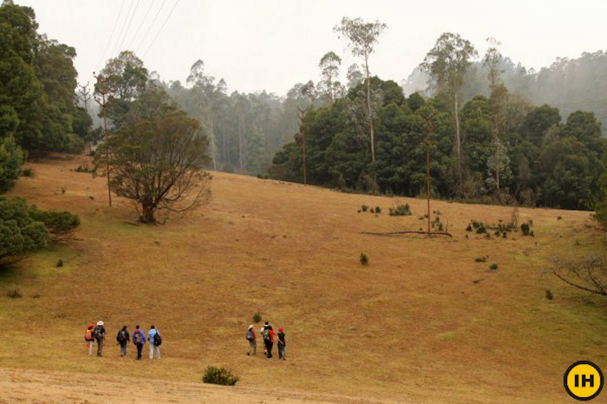 Nilgiris green lake trek