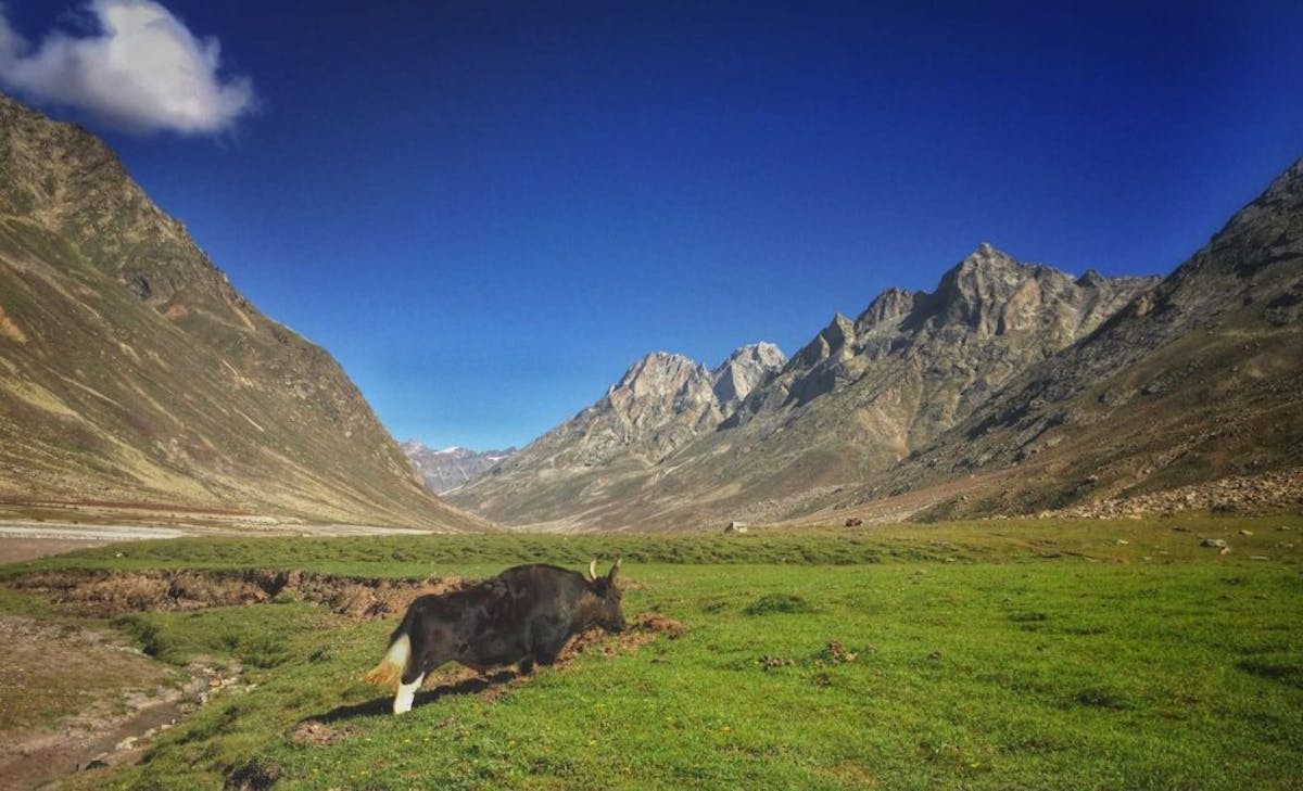 Miyar Valley Trek