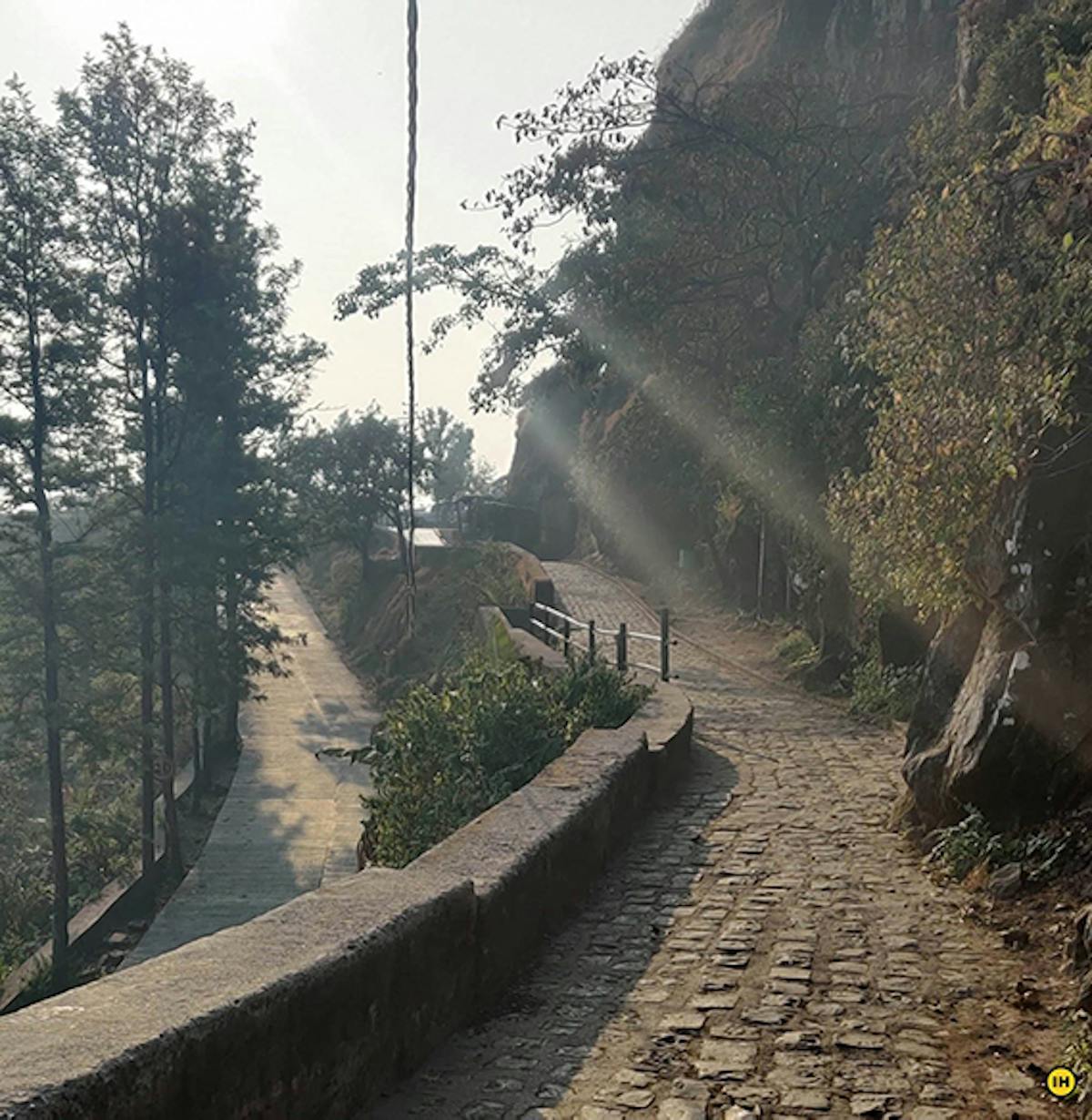 Image by Mohit Jogelakar
