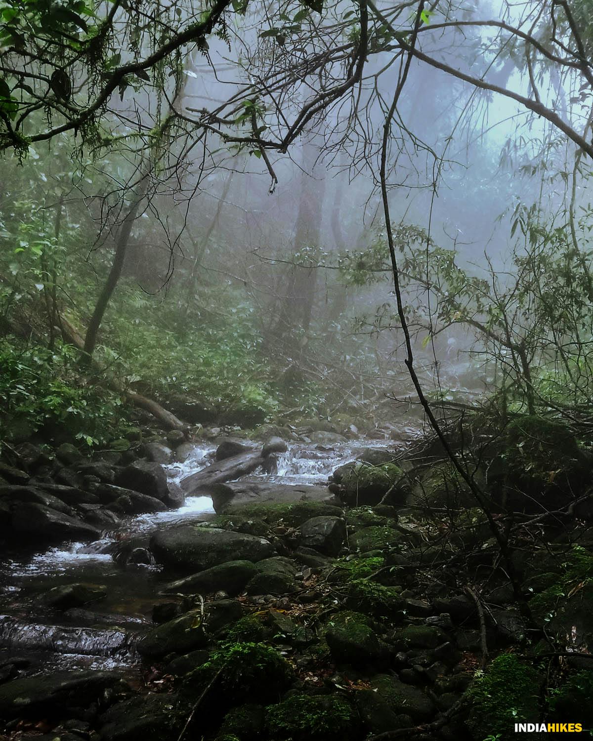 water streams, Kumara Parvatha, Indiahikes, Western Ghats treks, Karnataka treks, treks in Karnataka, most difficult trek in the western ghats of Karnataka