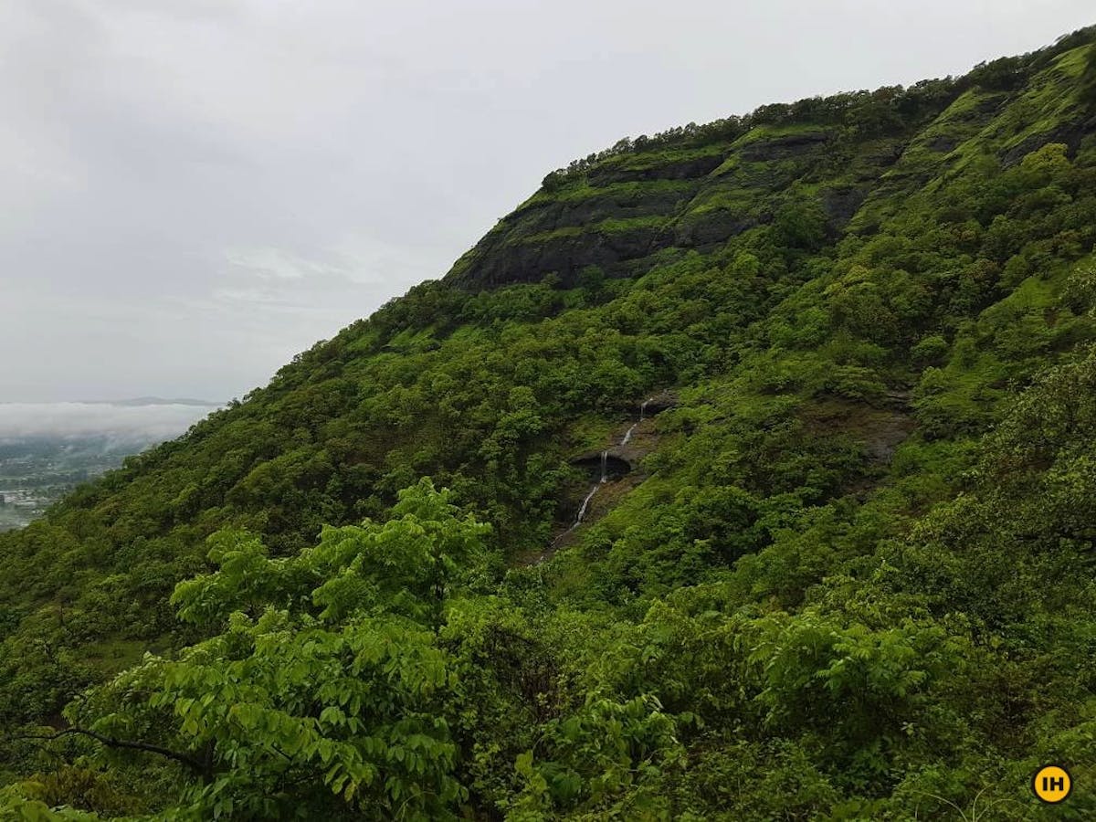 Kalavantin Durg Trek - View of the surrounding waterfalls - Indiahikes - Mugdha Bhusari