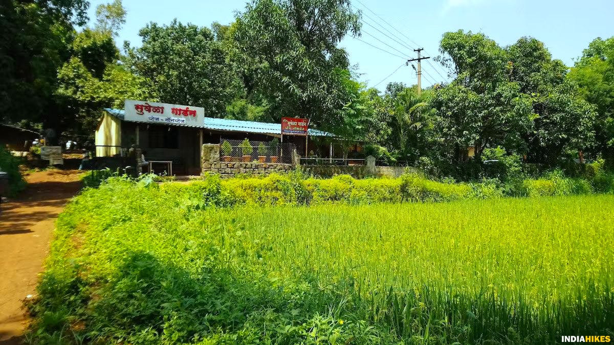 Gunjavane Village, Trekking Starting Point, Rajgad Fort, Treks near Pune, Sahyadri treks, Trekking in Maharashtra, Indiahikes