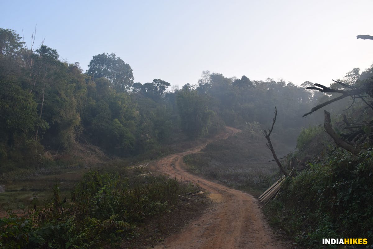 Trail to Mandal Dare - Nokrek National Park - Indiahikes - Nitesh Kumar