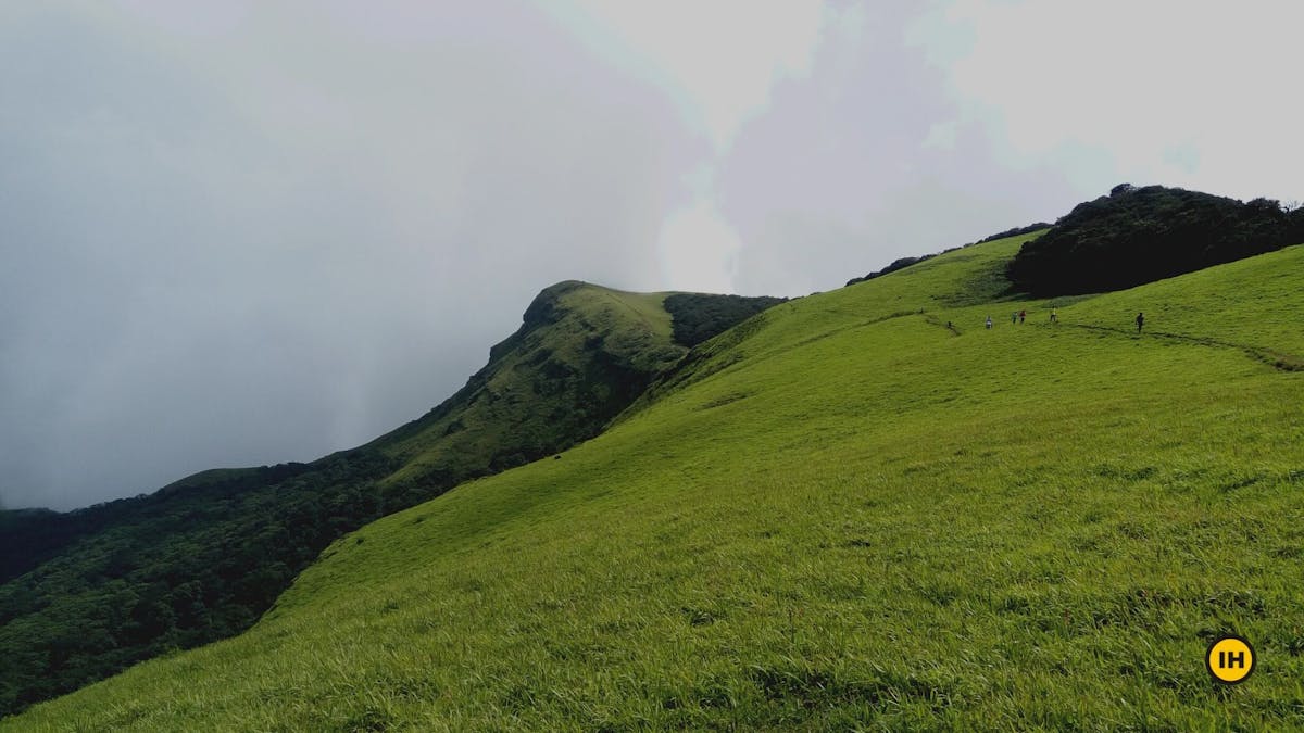 Final stretch, Kudremukh trek, western ghats treks, treks in Karnataka, monsoon treks in Karnataka, Indiahikes