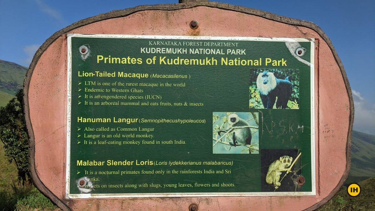 Board, wildlife on the Kudremukh, Kudremukh trek, western ghats treks, treks in Karnataka, monsoon treks in Karnataka, Indiahikes