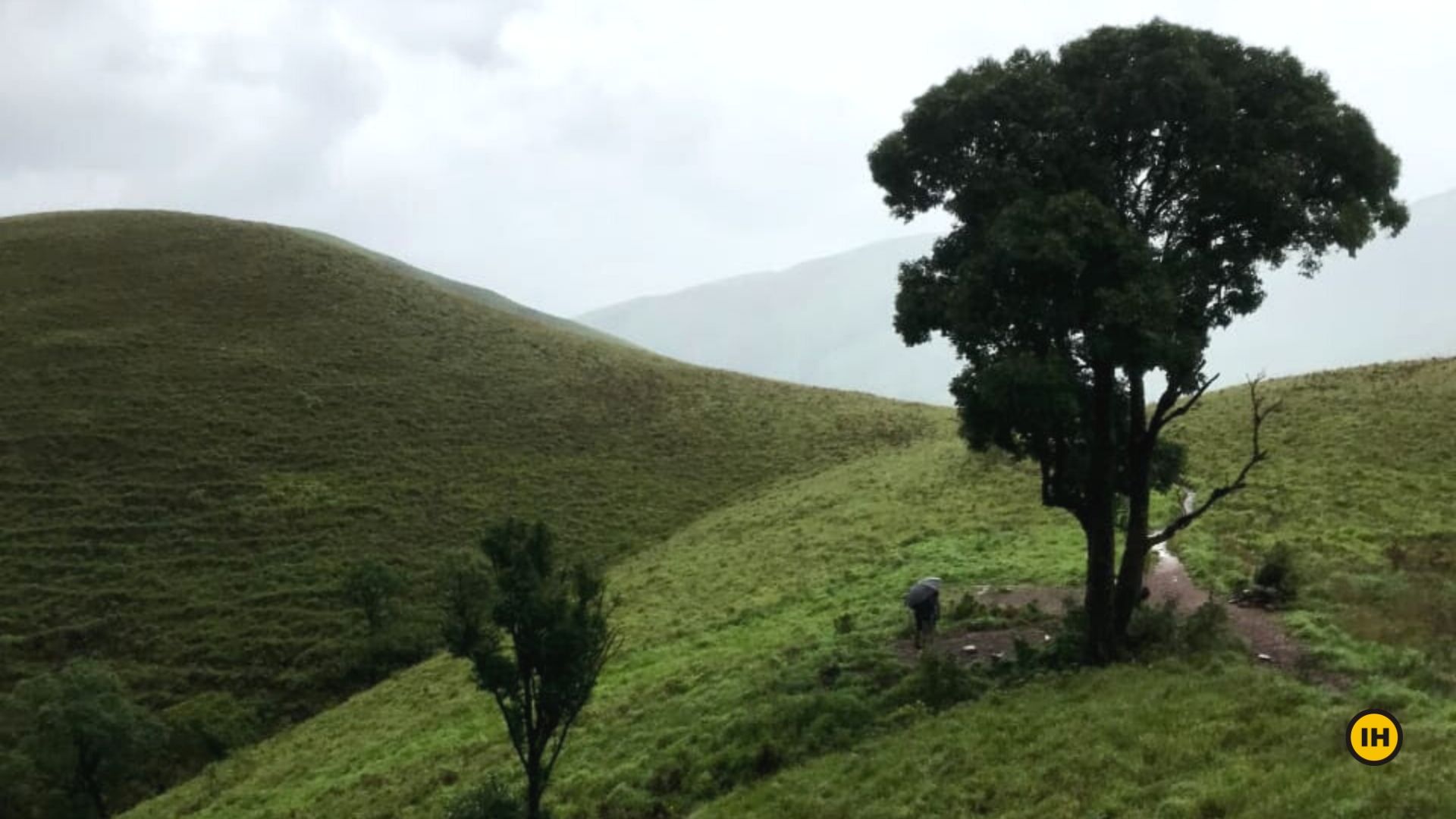 Kudremukh (January 2024) Timings,Tickets,reviews,Tips,Contact number|  ExploreBees