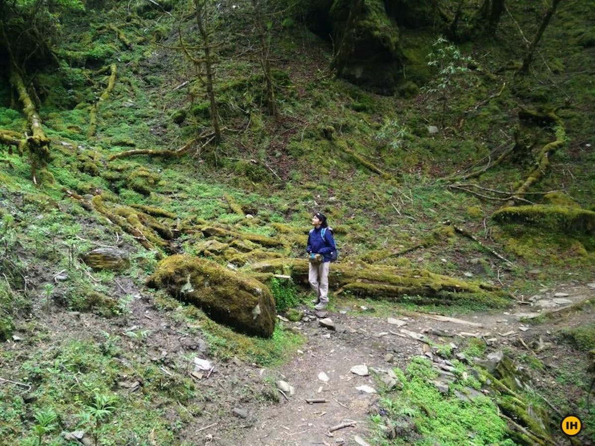 Gosaikunda-Indiahikes-Meghana-Vasisht-Laure-Bina-to-Chandan-Bari-1.jpg