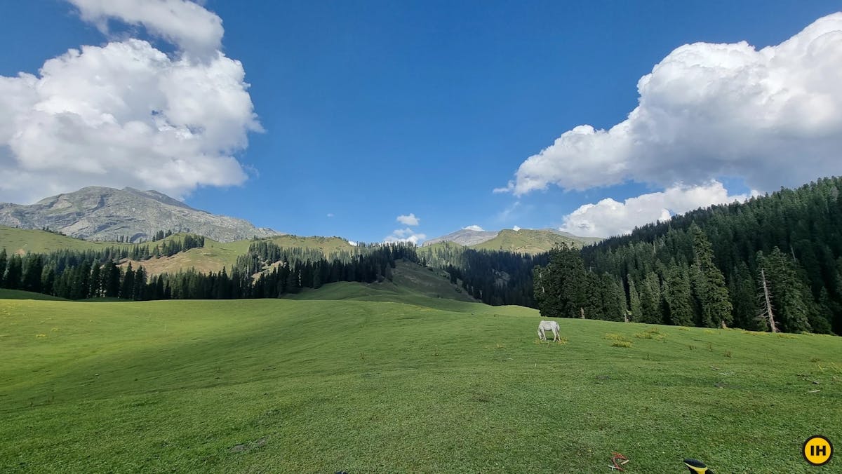 Bhaj Margi Meadows - Nafran Valley Trek - Indiahikes - Dhaval Jajal