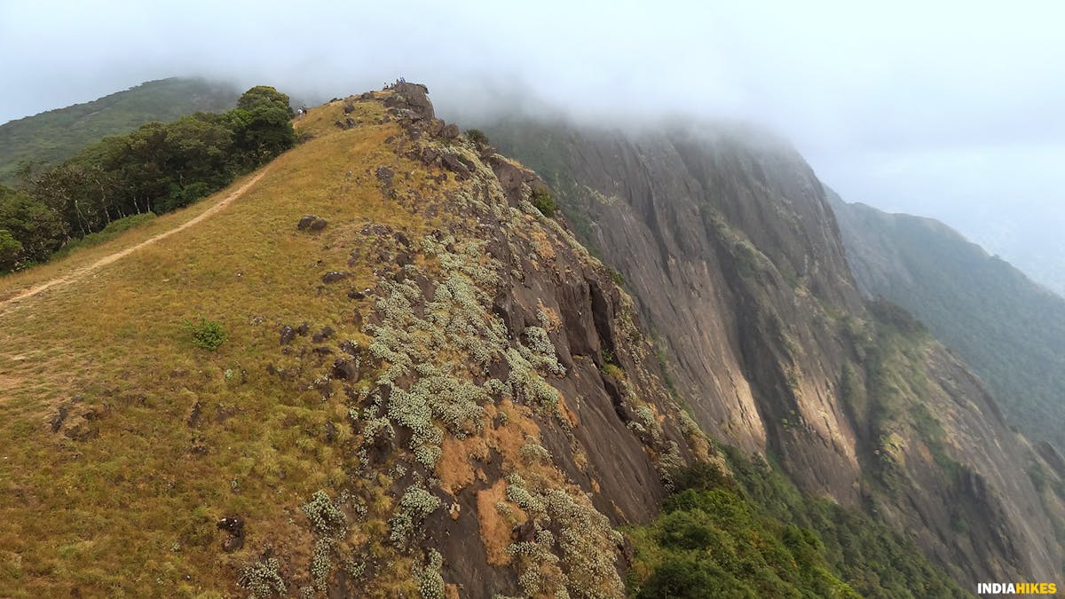 Shesha Parvatha trail, Kumara Parvatha, Indiahikes, Western Ghats treks, Karnataka treks, treks in Karnataka, most difficult trek in the western ghats of Karnataka