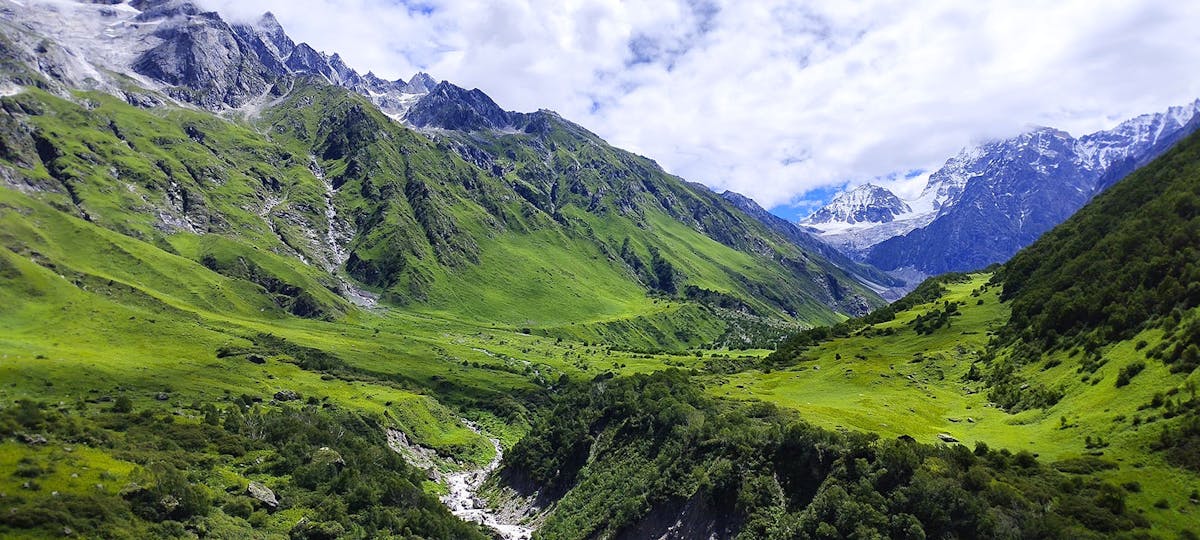 Elements of Nature - Valley of Flowers - VOF - Himalayan Treks - Valley - Uttarakhand Trek
