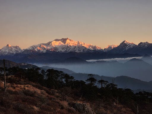 Sandakphu - Phalut Trek 2023 - Treks In West Bengal - Indiahikes